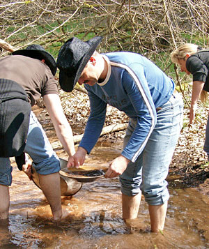 pfälzer wald